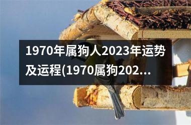 <h3>1970年属狗人2025年运势及运程(1970属狗2025年每月运程)
