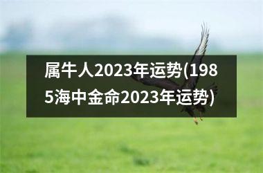 属牛人2025年运势(1985海中金命2025年运势)