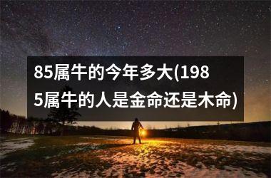 <h3>85属牛的今年多大(1985属牛的人是金命还是木命)