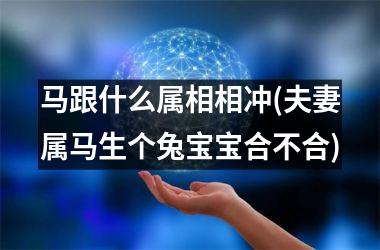 马跟什么属相相冲(夫妻属马生个兔宝宝合不合)