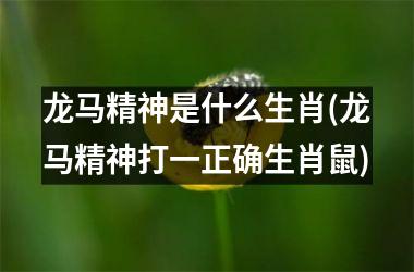 <h3>龙马精神是什么生肖(龙马精神打一正确生肖鼠)