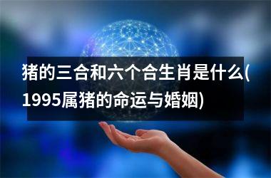 <h3>猪的三合和六个合生肖是什么(1995属猪的命运与婚姻)