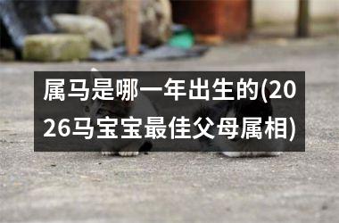 属马是哪一年出生的(2026马宝宝最佳父母属相)