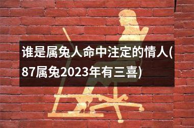 谁是属兔人命中注定的情人(87属兔2025年有三喜)