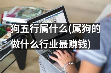 狗五行属什么(属狗的做什么行业最赚钱)