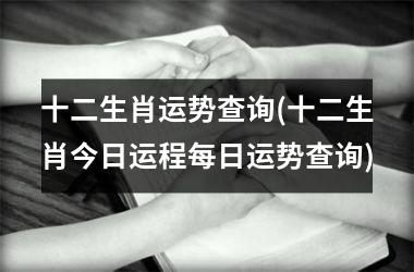 十二生肖运势查询(十二生肖今日运程每日运势查询)