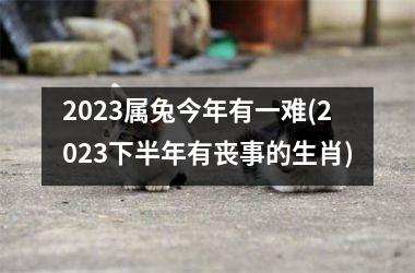 <h3>2025属兔今年有一难(2025下半年有丧事的生肖)