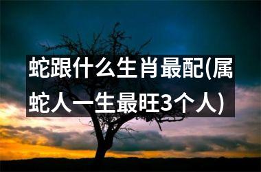 <h3>蛇跟什么生肖最配(属蛇人一生最旺3个人)