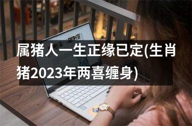<h3>属猪人一生正缘已定(生肖猪2025年两喜缠身)