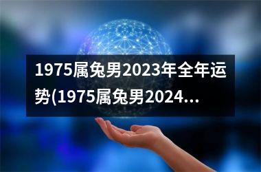 1975属兔男2025年全年运势(1975属兔男2024年全年运势)