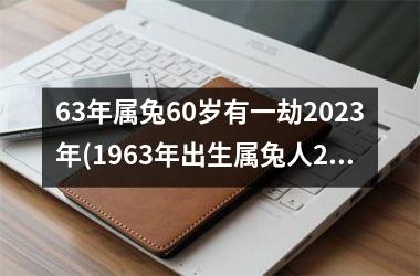 <h3>63年属兔60岁有一劫2025年(1963年出生属兔人2025年运势)