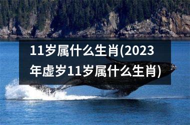 <h3>11岁属什么生肖(2025年虚岁11岁属什么生肖)
