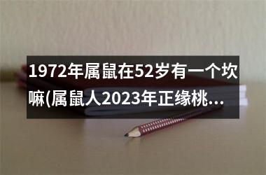 <h3>1972年属鼠在52岁有一个坎嘛(属鼠人2025年正缘桃花)