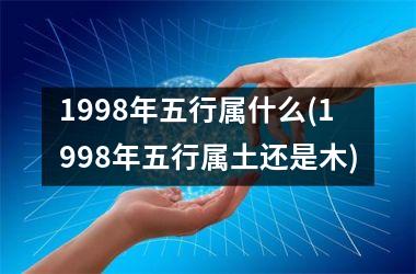 <h3>1998年五行属什么(1998年五行属土还是木)