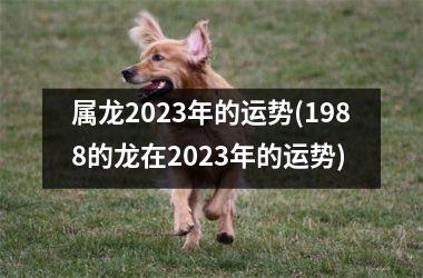 属龙2023年的运势(1988的龙在2023年的运势)