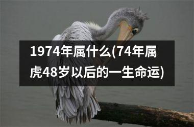 1974年属什么(74年属虎48岁以后的一生命运)