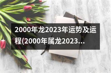 2000年龙2023年运势及运程(2000年属龙2023年考研)