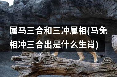 <h3>属马三合和三冲属相(马免相冲三合出是什么生肖)