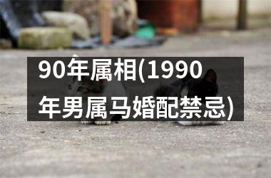 90年属相(1990年男属马婚配禁忌)