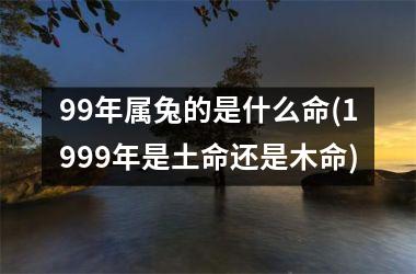 <h3>99年属兔的是什么命(1999年是土命还是木命)