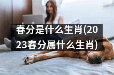 <h3>春分是什么生肖(2025春分属什么生肖)