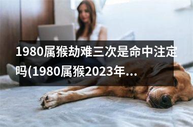 1980属猴劫难三次是命中注定吗(1980属猴2025年有三喜)
