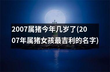 2007属猪今年几岁了(2007年属猪女孩最吉利的名字)