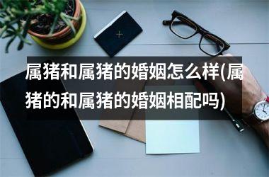 <h3>属猪和属猪的婚姻怎么样(属猪的和属猪的婚姻相配吗)