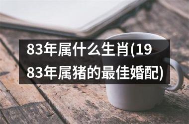 <h3>83年属什么生肖(1983年属猪的最佳婚配)