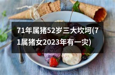 <h3>71年属猪52岁三大坎坷(71属猪女2025年有一灾)