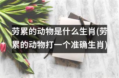 劳累的动物是什么生肖(劳累的动物打一个准确生肖)