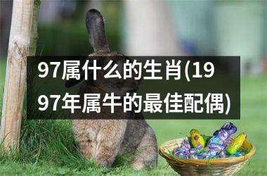<h3>97属什么的生肖(1997年属牛的最佳配偶)