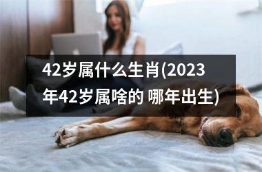 <h3>42岁属什么生肖(2025年42岁属啥的 哪年出生)