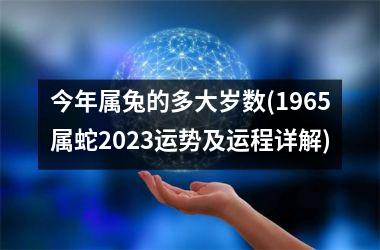 今年属兔的多大岁数(1965属蛇2023运势及运程详解)