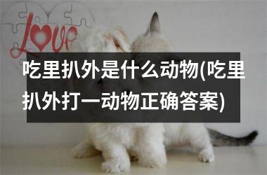 吃里扒外是什么动物(吃里扒外打一动物正确答案)