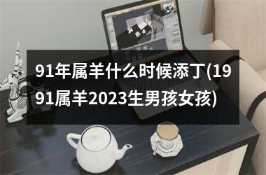 91年属羊什么时候添丁(1991属羊2023生男孩女孩)