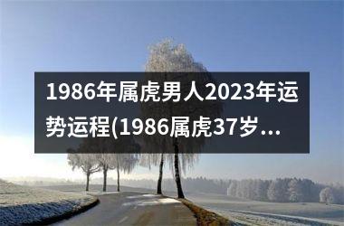 <h3>1986年属虎男人2025年运势运程(1986属虎37岁后有十年大运)