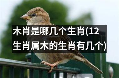 <h3>木肖是哪几个生肖(12生肖属木的生肖有几个)