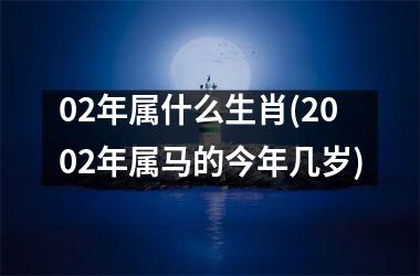 <h3>02年属什么生肖(2002年属马的今年几岁)