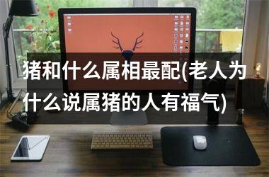 <h3>猪和什么属相最配(老人为什么说属猪的人有福气)