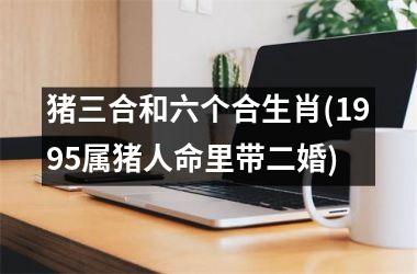 <h3>猪三合和六个合生肖(1995属猪人命里带二婚)