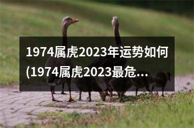 <h3>1974属虎2025年运势如何(1974属虎2025最危险的一个月)