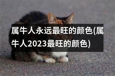 属牛人永远最旺的颜色(属牛人2025最旺的颜色)