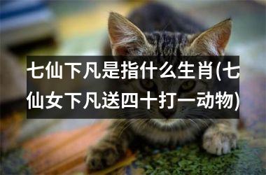 <h3>七仙下凡是指什么生肖(七仙女下凡送四十打一动物)