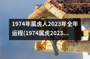 <h3>1974年属虎人2025年全年运程(1974属虎2025最危险的一个月)