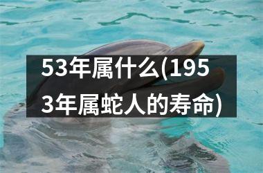 <h3>53年属什么(1953年属蛇人的寿命)