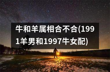 <h3>牛和羊属相合不合(1991羊男和1997牛女配)