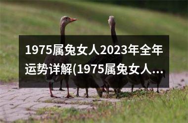 1975属兔女人2023年全年运势详解(1975属兔女人今年婚姻如何)