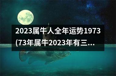 2025属牛人全年运势1973(73年属牛2025年有三喜)