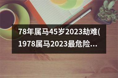 <h3>78年属马45岁2025劫难(1978属马2025最危险的一个月)